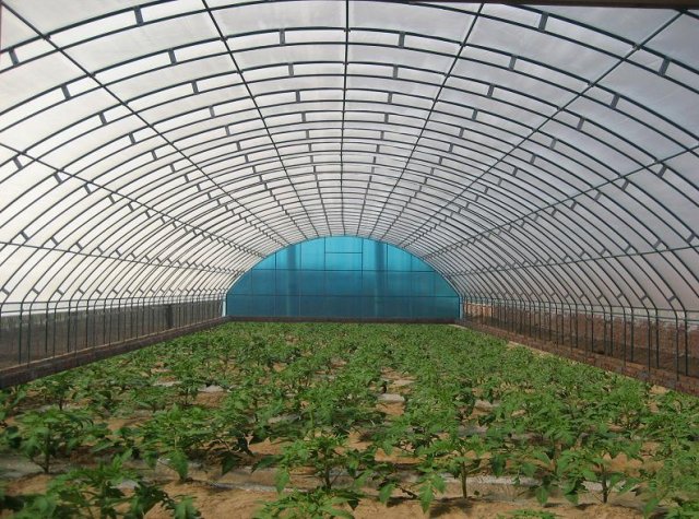 鋼架蔬菜大棚的搭建與實(shí)用指南