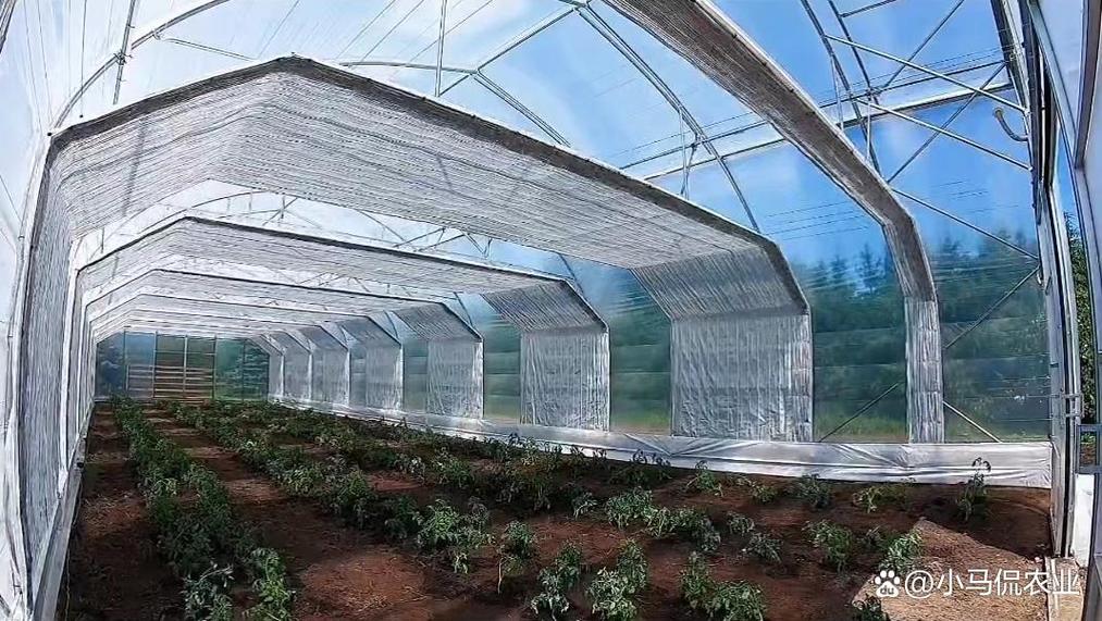 菜農研發4人抬動的鋼架大棚,改變了40年陳舊模式,讓人眼前一亮